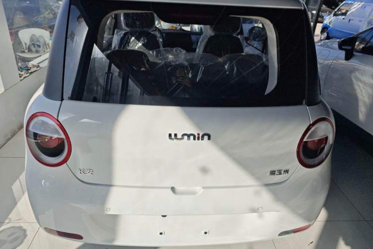 Used CHANGAN Lumin 2022 301km Honey-Sweet Version Exterior 1