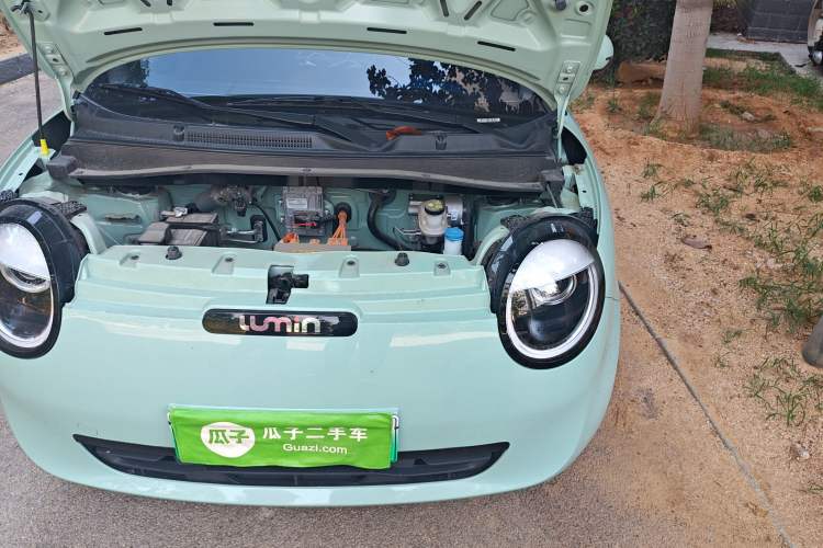 Used CHANGAN Lumin 2023 205km Xiangqin Version Engine Bay Left