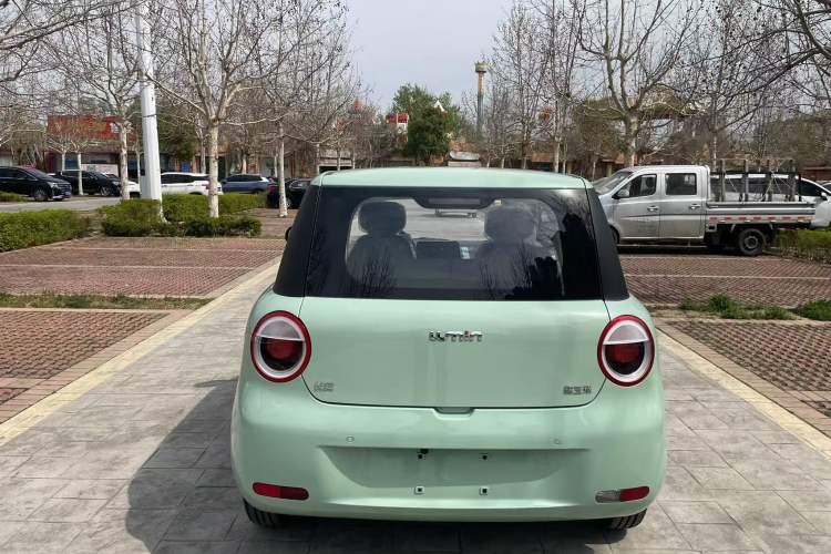 Used CHANGAN Lumin 2023 205km Xiangqin Version Exterior 4