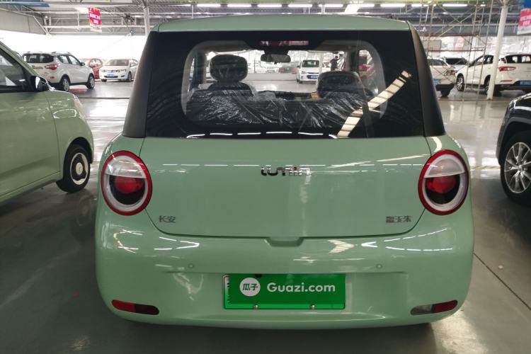Used CHANGAN Lumin 2023 205km Xiangqin Version Exterior 4