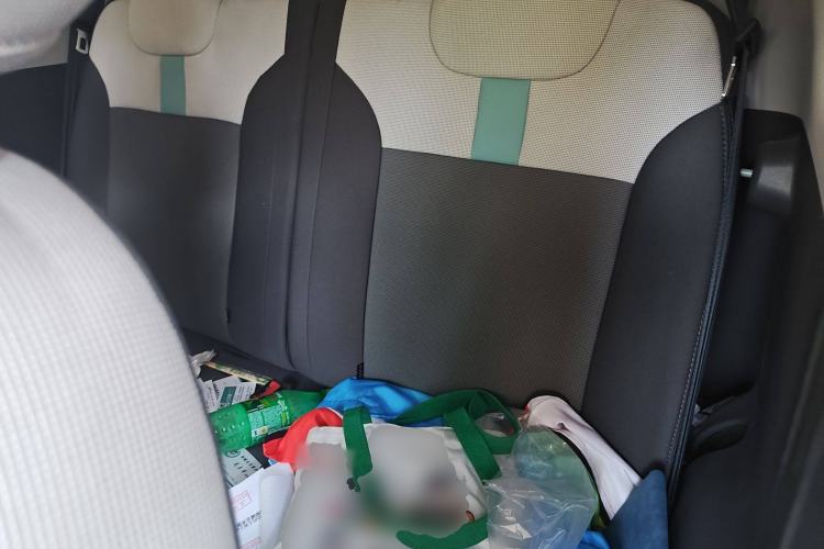 Used CHANGAN Lumin 2023 205km Xiangqin Version Left Rear Seat