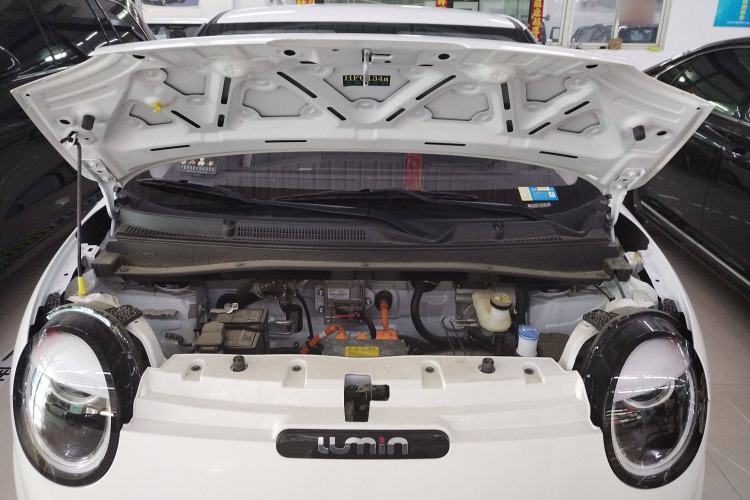 Used CHANGAN Lumin 2023 205km Xiangqin Version Engine Bay