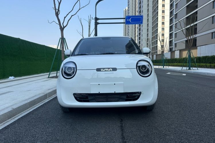 Used CHANGAN Lumin 2023 205km Xiangqin Version Exterior 1
