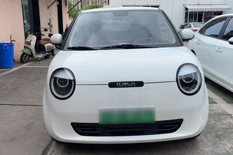Used CHANGAN Lumin 2023 205km Xiangqin Version Exterior 1