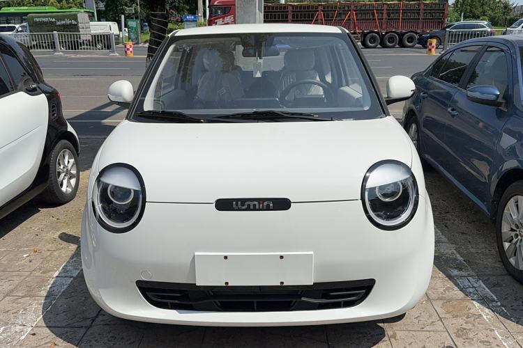 Used CHANGAN Lumin 2023 205km Xiangqin Version Exterior 1