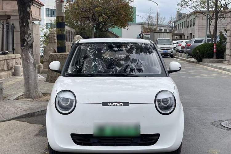 Used CHANGAN Lumin 2023 301km Honey Dew Edition Exterior 1