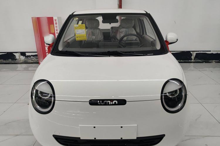 Used CHANGAN Lumin 2023 205km Xiangqin Version Exterior 1