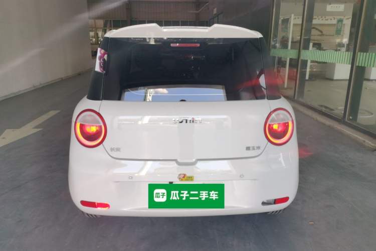 Used CHANGAN Lumin 2023 205km Xiangqin Version Exterior 4