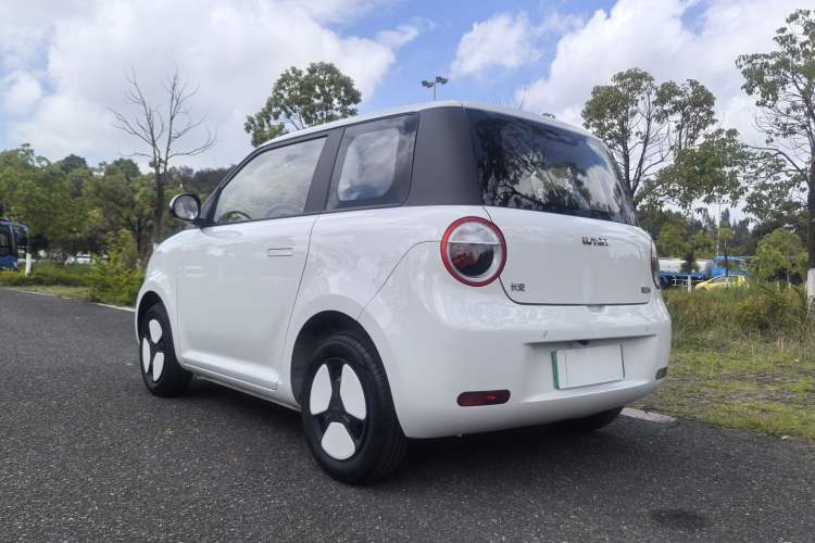 Used CHANGAN Lumin 2023 205km Xiangqin Version Exterior 4