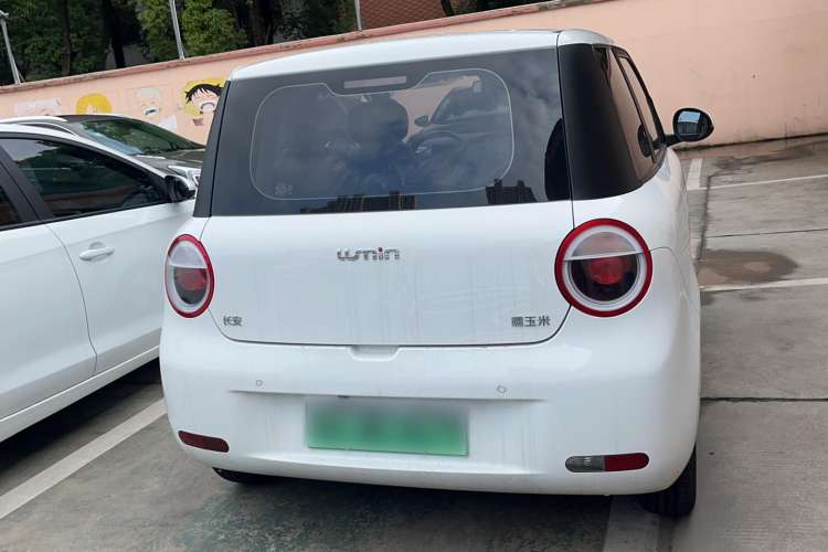 Used CHANGAN Lumin 2023 205km Xiangqin Version Exterior 4