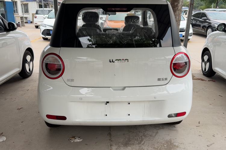 Used CHANGAN Lumin 2023 205km Xiangqin Version Exterior 4