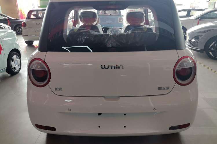 Used CHANGAN Lumin 2023 205km Xiangqin Version Exterior 4