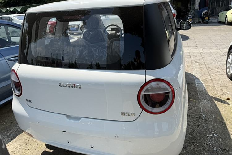 Used CHANGAN Lumin 2023 205km Xiangqin Version Exterior 4