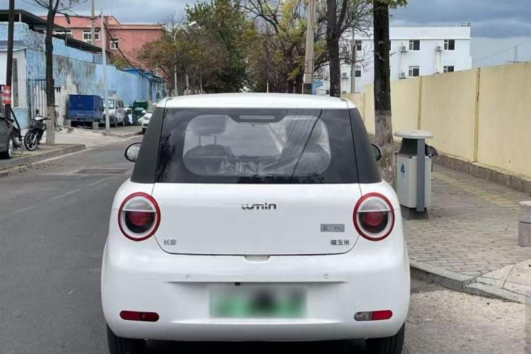 Used CHANGAN Lumin 2023 301km Honey Dew Edition Exterior 4