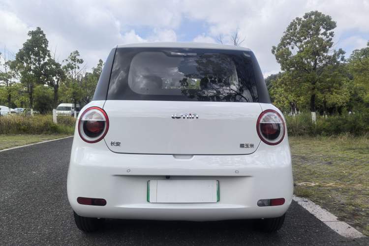 Used CHANGAN Lumin 2023 205km Xiangqin Version Exterior 5
