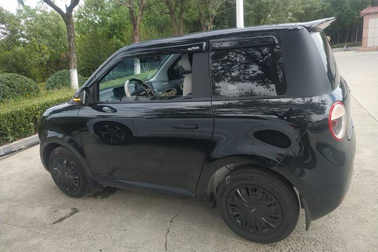 Used CHANGAN Lumin 2024 130km Qingyue Version Exterior 3