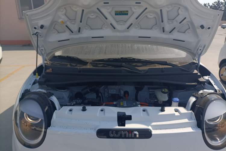 Used CHANGAN Lumin 2024 130km Qingyue Version Engine Bay