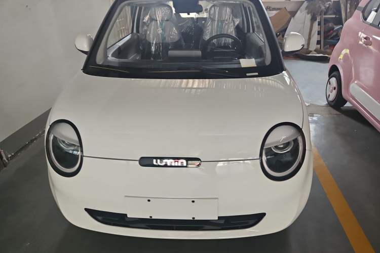 Used CHANGAN Lumin 2024 130km Qingyue Version Exterior 1