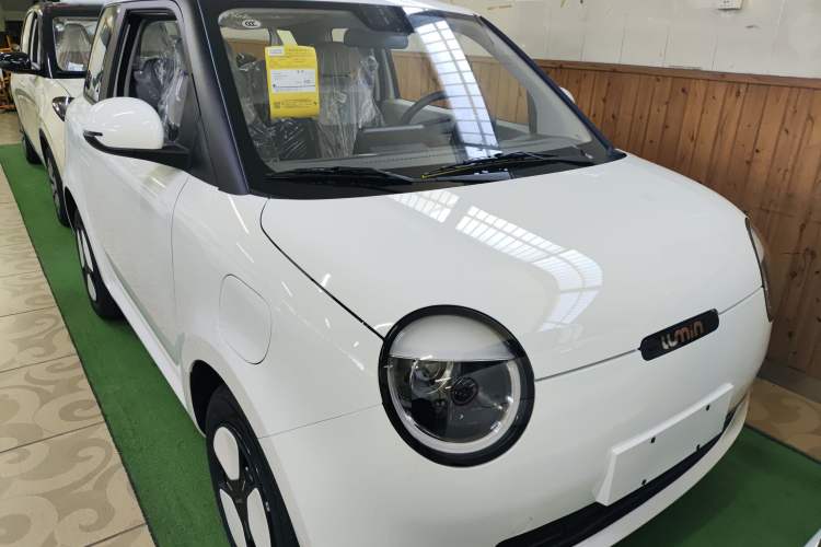 Used CHANGAN Lumin 2024 130km Qingyue Version Exterior 1