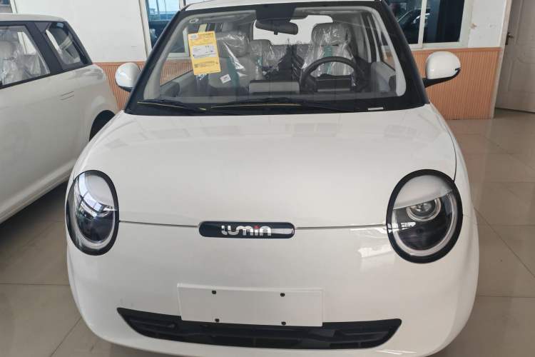 Used CHANGAN Lumin 2024 130km Qingyue Version Exterior 1
