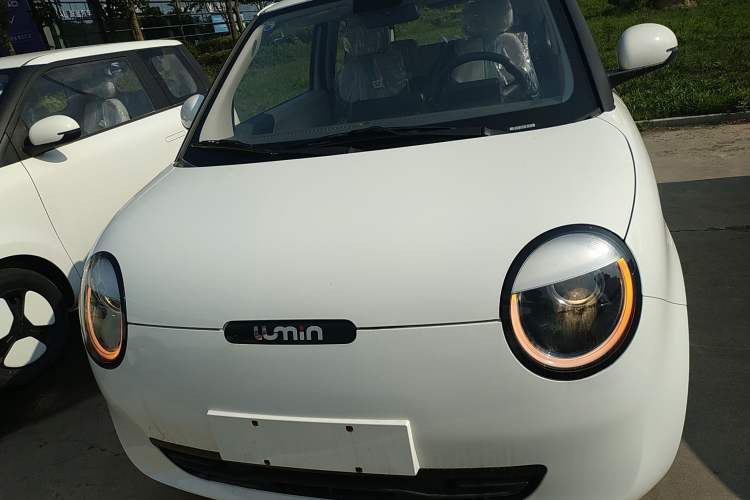 Used CHANGAN Lumin 2024 130km Qingyue Version Exterior 1