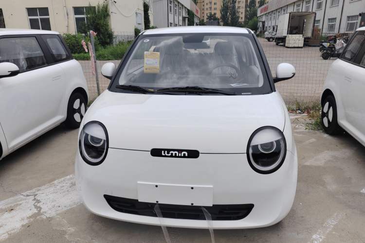Used CHANGAN Lumin 2024 130km Qingyue Version Exterior 1