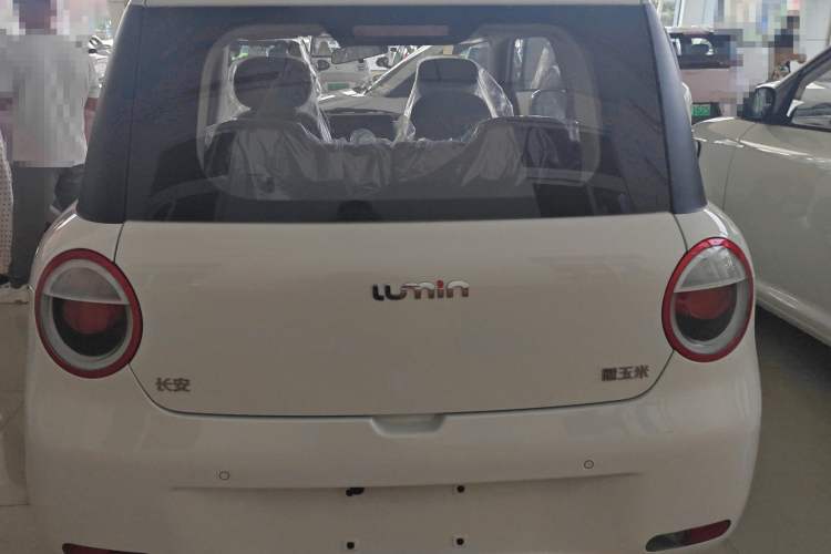 Used CHANGAN Lumin 2024 130km Qingyue Version Exterior 2