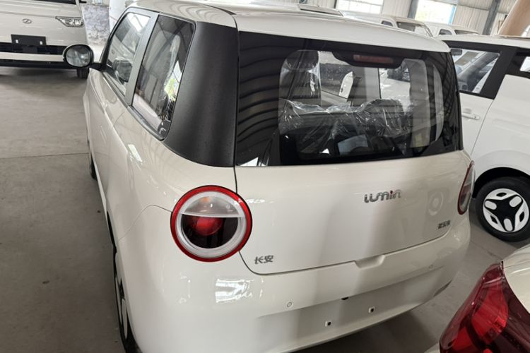Used CHANGAN Lumin 2024 130km Qingyue Version Exterior 3
