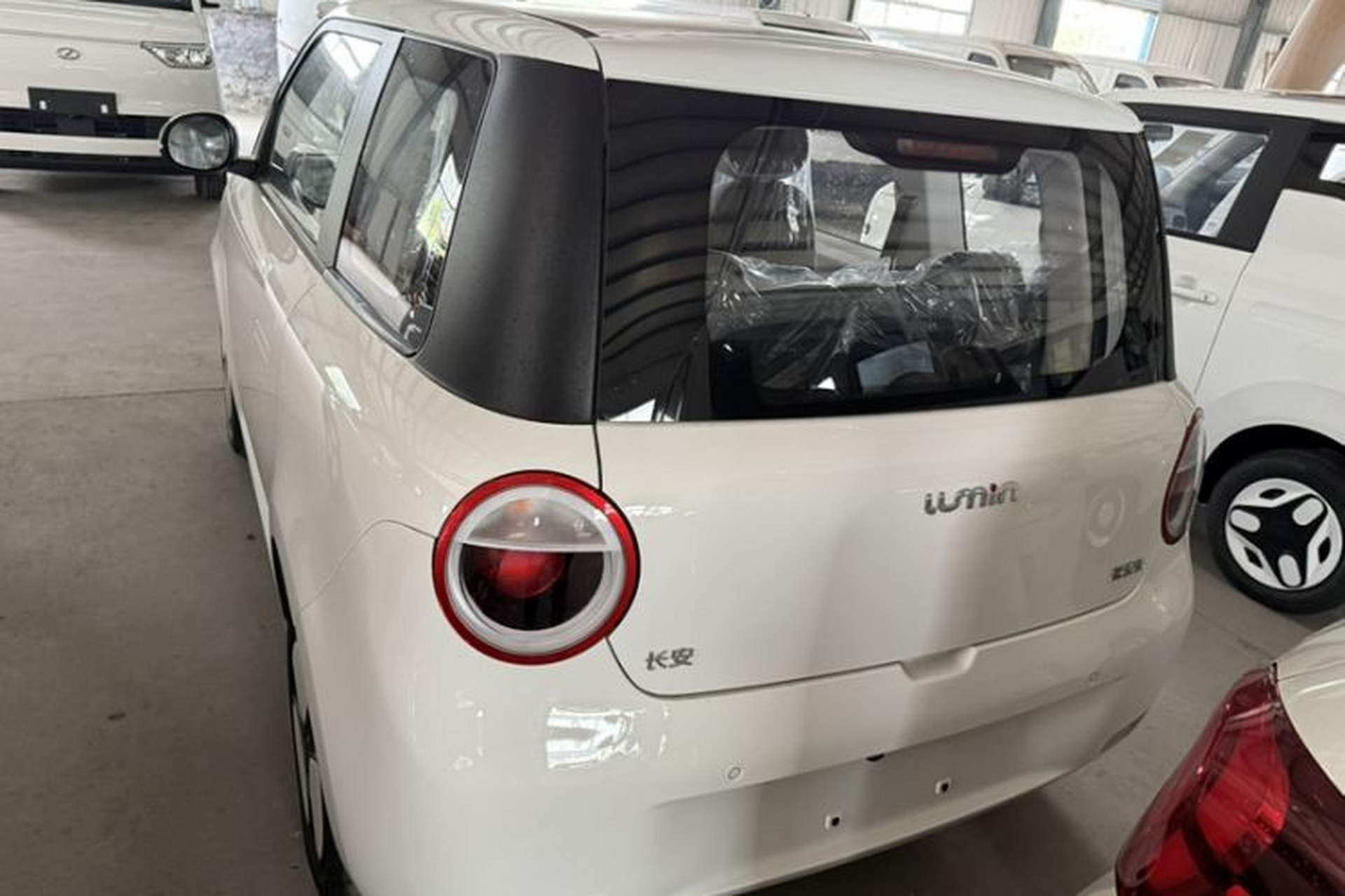 Used CHANGAN Lumin 2024 130km Qingyue Version Exterior 3