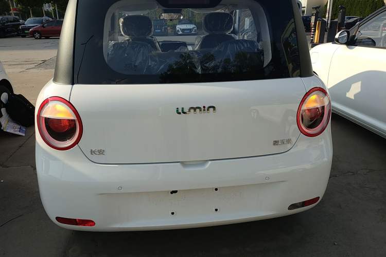 Used CHANGAN Lumin 2024 130km Qingyue Version Exterior 4