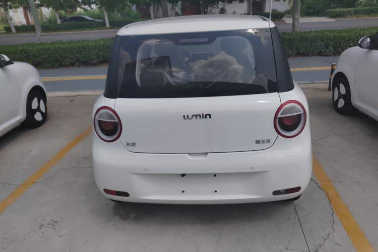 Used CHANGAN Lumin 2024 130km Qingyue Version Exterior 4