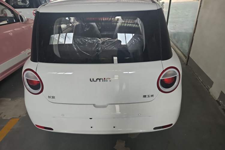 Used CHANGAN Lumin 2024 130km Qingyue Version Exterior 4
