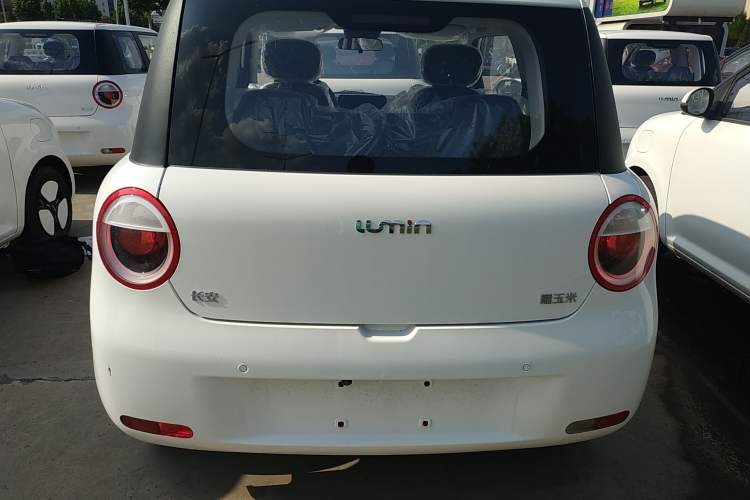 Used CHANGAN Lumin 2024 130km Qingyue Version Exterior 4