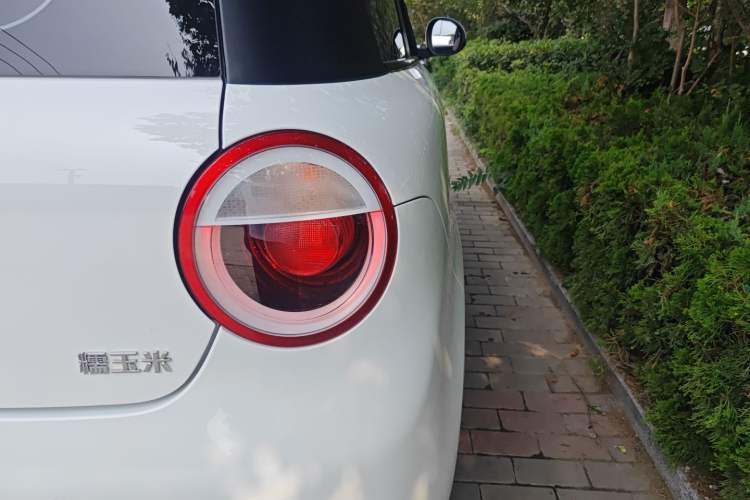 Used CHANGAN Lumin 2024 130km Qingyue Version Exterior 6