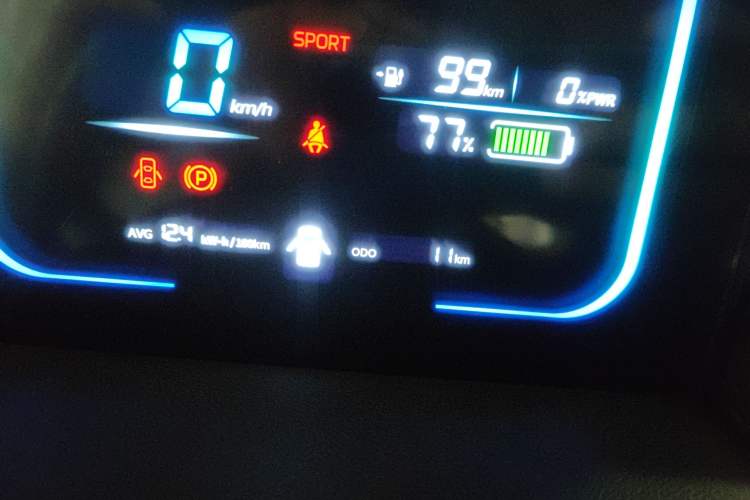 Used CHANGAN Lumin 2024 130km Qingyue Version Odometer Close Up