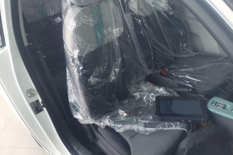 Used CHANGAN Lumin 2024 130km Qingyue Version Right Front Seat