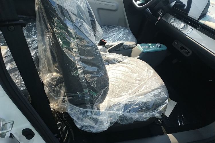 Used CHANGAN Lumin 2024 130km Qingyue Version Right Front Seat