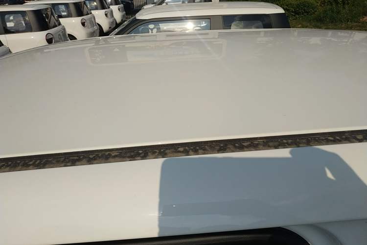 Used CHANGAN Lumin 2024 130km Qingyue Version Roof