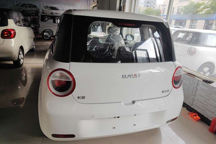 Used CHANGAN Lumin 2024 130km Qingyue Version Trunk