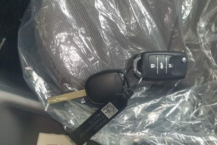 Used CHANGAN Lumin 2024 130km Qingyue Version Vehicle Key