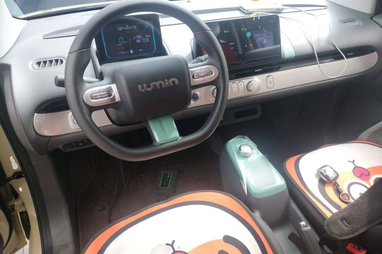 Used CHANGAN Lumin 2024 205km Launch Edition Center Console