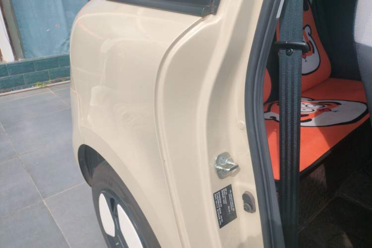 Used CHANGAN Lumin 2024 205km Launch Edition Right Rear Door Interior