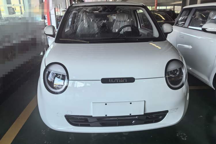 Used CHANGAN Lumin 2025 205 km Xiangqin Version Exterior 1