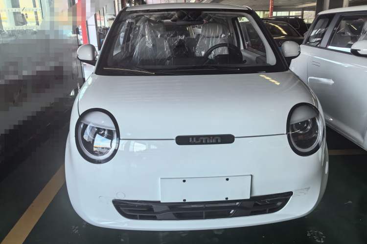 Used CHANGAN Lumin 2025 205 km Xiangqin Version Exterior 1