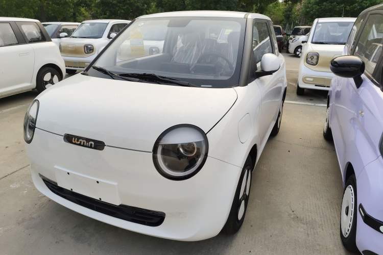 Used CHANGAN Lumin 2025 205 km Xiangqin Version Exterior 1