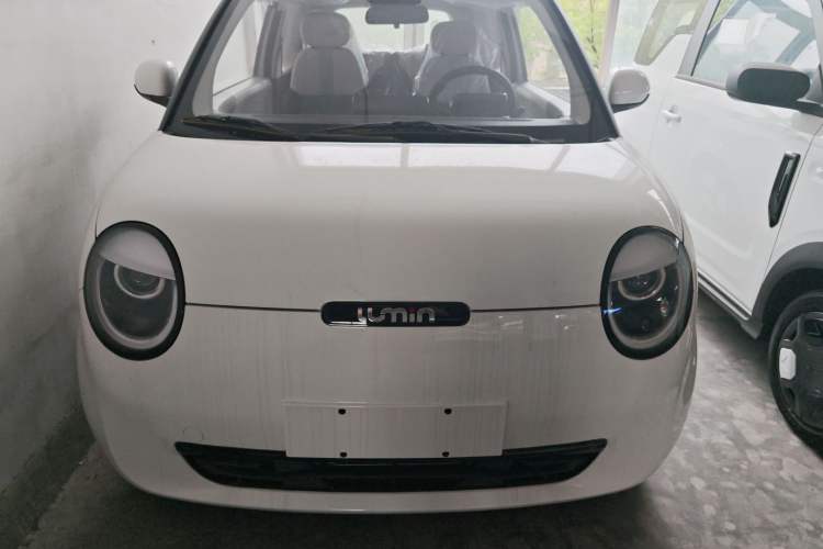 Used CHANGAN Lumin 2025 205 km Xiangqin Version Exterior 1