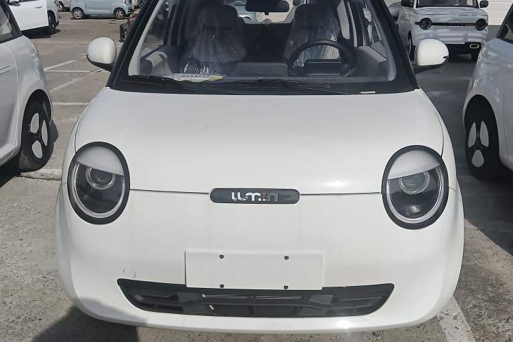 Used CHANGAN Lumin 2025 205 km Xiangqin Version Exterior 1