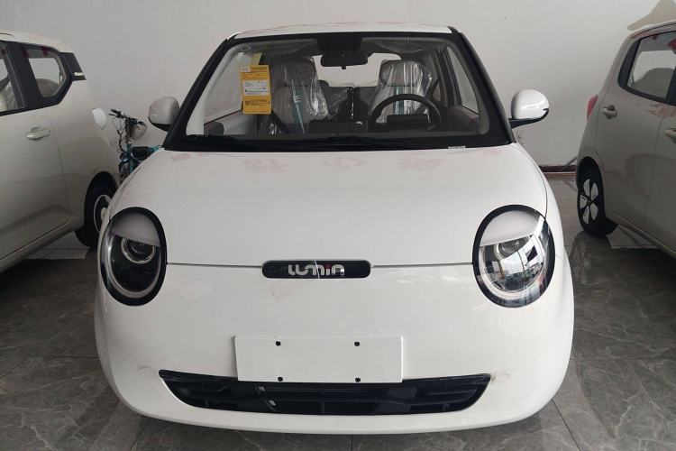 Used CHANGAN Lumin 2025 205 km Xiangqin Version Exterior 1