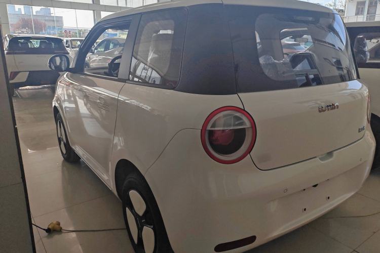 Used CHANGAN Lumin 2025 205 km Xiangqin Version Exterior 3