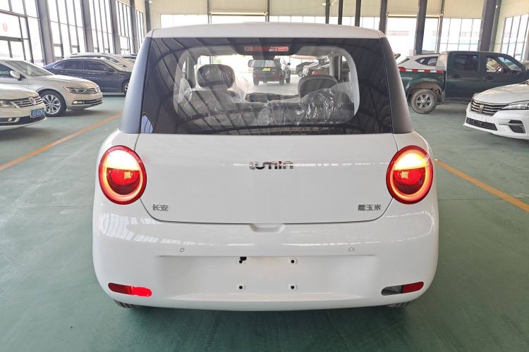 Used CHANGAN Lumin 2025 205 km Xiangqin Version Exterior 4